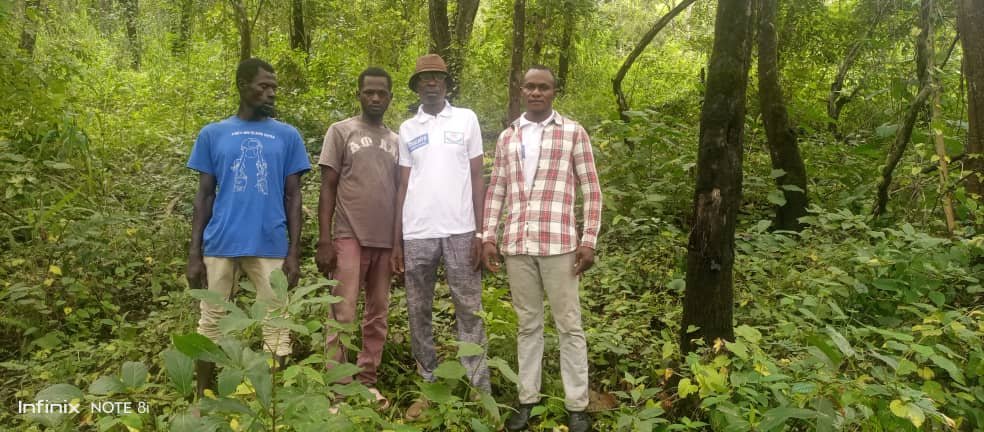 Tree seedlings nursery
