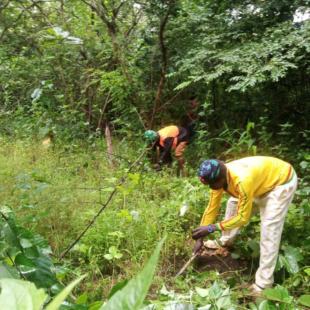 Tree planting activity with local community