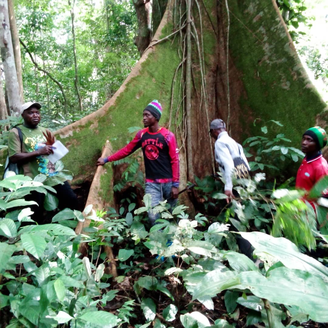 Wildlife monitoring with camera traps